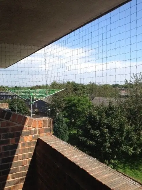 Bird Netting